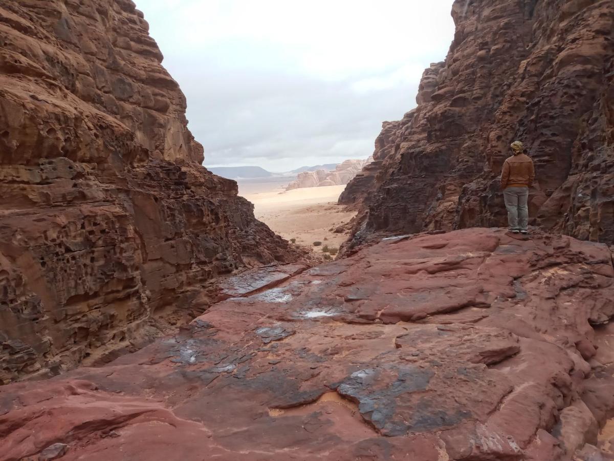 Rum Moon Luxury Camp Hotel Wadi Rum Exterior photo